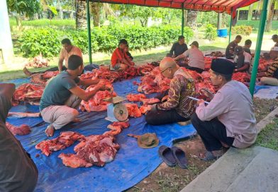MTsN 1 Aceh Timur Sembelih 7 Sapi Qurban, Wujud Kepedulian dan Kebersamaan Keluarga Madrasah MTsN 1 Aceh Timur Sembelih 7 Sapi Qurban, Wujud Kepedulian dan Kebersamaan Keluarga Madrasah