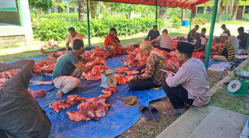 MTsN 1 Aceh Timur Sembelih 7 Sapi Qurban, Wujud Kepedulian dan Kebersamaan Keluarga Madrasah MTsN 1 Aceh Timur Sembelih 7 Sapi Qurban, Wujud Kepedulian dan Kebersamaan Keluarga Madrasah